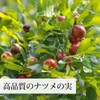 Natural Health Company Taisoweki 4.6 oz (130 g) Natsume Extract