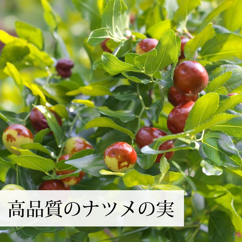 Natural Health Company Taisoweki 4.6 oz (130 g) Natsume Extract