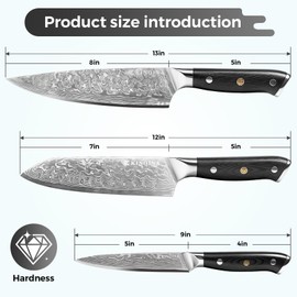 KINOINA 5-Piece Damascus Knife Set - Ultra-Sharp Professional 67-Layer VG10 Core Damascus Chef Knife Set | Includes 8 Inch Chef Knife, Santoku Knife, Kitchen Knife Sharpener, G10 Full Tang Handle