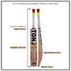 SS Ton Kashmir Willow Cricket Bat- Ton Maximus (Cover Included)
