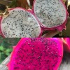Cactus 50 White 50 Red Dragon Fruit Seeds Pitaya Pitahaya