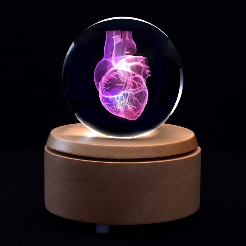 XINDAM 3D Human Heart Anatomical Model Paperweight(Laser Etched) in Crystal