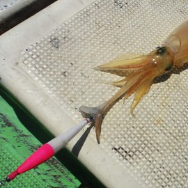 KEYSTONE Hard Foam Flotation Suit, 3.3 inches (85 mm), All Luminous, PK White