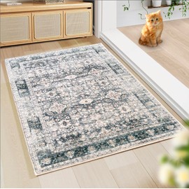 WL&ALLEN Door Mat Entry Rug Washable Mat Indoor Entrance 2x3 Boho Non-Slip,Laundry Room Rug, SoftRug(2'x3',Light Green)