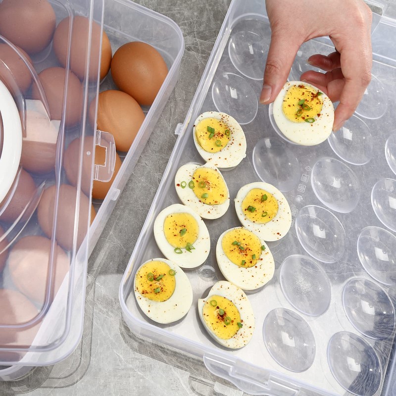 HANSGO Deviled Egg Containers with Lid, 2-Layer Portable Deviled Egg