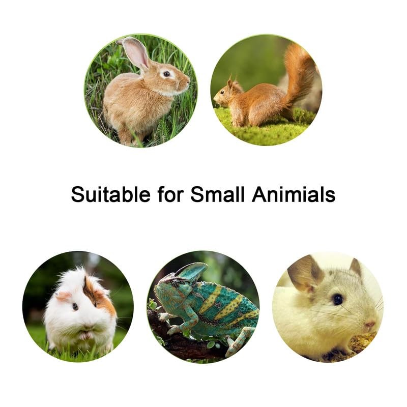 1CM*120CM PU Leather Cat Lead Red Basic Pet Leashes For