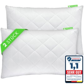 Gentle North Pillow (30 x 50 cm), Set of 2 Cushions for Bed and as Decorative Cushion, with Zip for Filling, Sofa Cushion, Decorative Cushion for Couch and Sofa, Oeko-Tex, Washable up to 60°, White