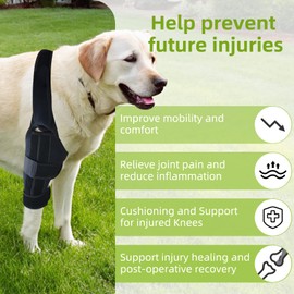 Dog Knee Brace Support for Torn ACL Hind Leg, Adjustable Back Wrap for Recovery & Prevention of Joint Injuries, Canine Cruciate Ligament Compression, Rear ACL Hock Ankle Supportive Fit (M)