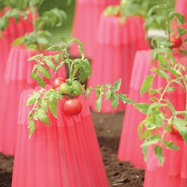 The Original Kozy-Coats Frost Protection Water Teepees (6 Pack)