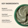 AXIS-Y [AXIS-Y]Mugwort Pore Clarifying Wash Off Pack 100ml