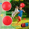 Jenaai 18 Pcs Sports Kickball Set Includes Playground Ball 5