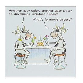 Illustrated Humorous Female Birthday Card from the Funny Farm Range - Furniture Disease - Greeting Card for Her (PL-EFU212)