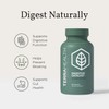 Terra Health Essentials Digestive Catalyst | Reduce IBS | Amylase,