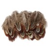 Happy Feather 100 pcs Natural Pheasant Plumage Feathers 2-3 Inches
