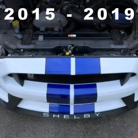 Advanced Trims VINYL - GLOSS WHITE Front Splitter LETTERS Fits Shelby GT350 2015 - 2019