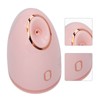 Facial Steamer with 100ml Water Tank Moisturizing Cleaning Pores Mist