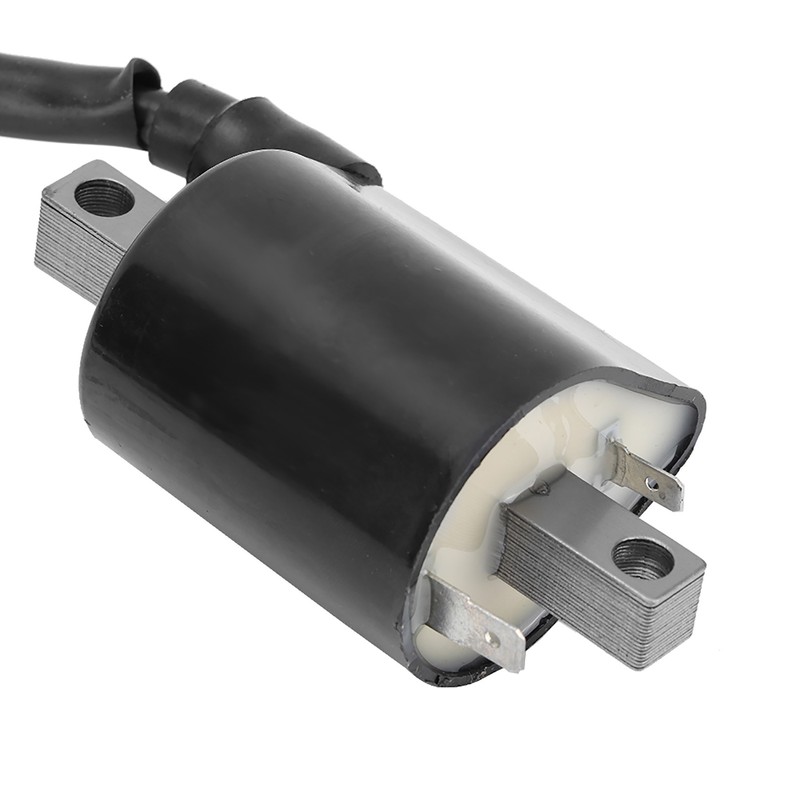 Large Displacement 2 Pins Ignition Coil for Yamaha Cart G2