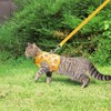 BINGPET Cat Harness with Leash Escape Proof - Fashionable Mesh