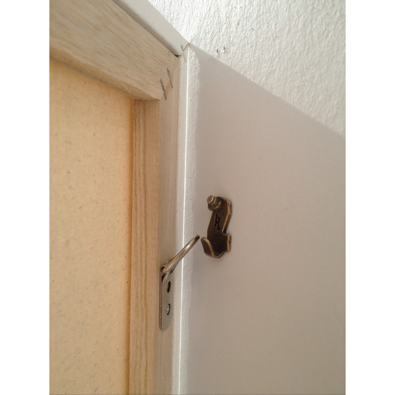 HangZ 10009 2 Hole D Ring Hangers with Screws 75lb