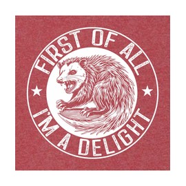 XX-Large Vintage Heather Red Mens First Of All I'm A Delight Funny Possum Sweatshirt Crewneck