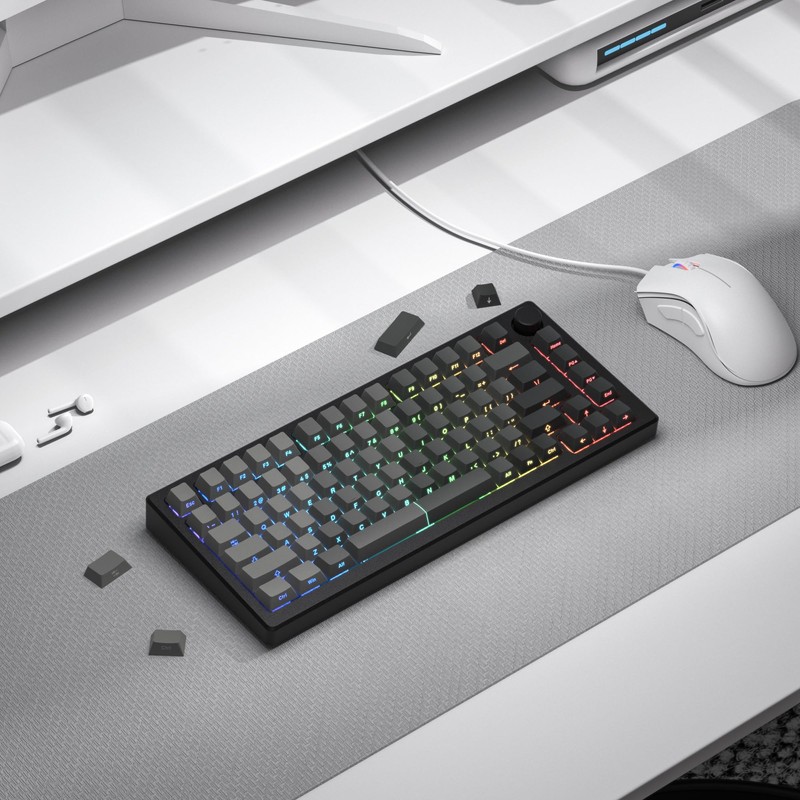 dagaladoo PBT keycap,Shine Through keycap 75 percen,Double Shot Key caps,Cherry
