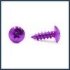 INFINAUTO 30pcs Universal Purple Motorcycle Self Tapping Bolts Screws Stylish