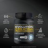 Evolution Creatina Monohidratada en Polvo