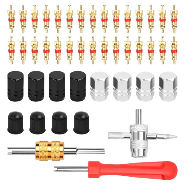 NATUCE 45 Pieces Tyre Valve Core Tool, Car Valve Key, Car Valve Tool with Double and Single Head, Valve Tools, Tyre Valve Remover, Valve Repair for Bicycle, Car, Motorcycle