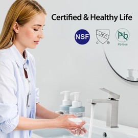 Faustina Brushed Nickel Bathroom Faucet,One Hole Bathroom Faucet Single Handle Bathroom Faucet with Pop Up Drain,Bathroom Vanity Faucet 1 Hole RV Sink Faucet Restroom Basin Faucet Stainless Steel