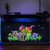 GOFYLIN Fish Tank Decorations kit, Aquarium Decor Starfish Broken Barrel