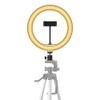 STEREN Aro de luz LED para Selfie MOV-039