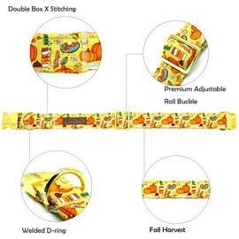 Lionheart Premium Fall Dog Collar - Heavy Duty, Comfortable & Adjustable for Small Dogs - Thanksgiving