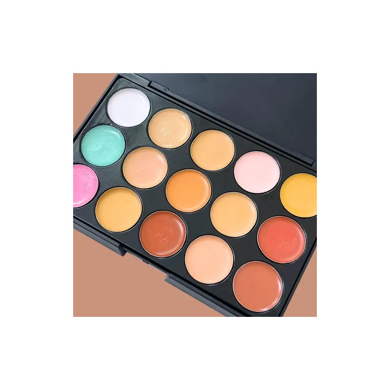 Paleta 15 Correctores Maquillaje Alta Cobertura Brocha F