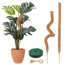 EcoNour 28" 2 Pack Moss Pole | Moss Pole Monstera Plant Support | Plant Sticks for Indoor Climbing Plants | Support for Potted Plants Like Pothos, Philodendrons, and More