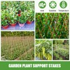 Suclain Bamboo Plant Stakes Plant Support Stakes Indoor and Outdoor