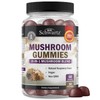 Mushroom Gummies for Adults - 10-in-1 Functional Mushroom Supplement for