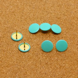 Tupalizy 120PCS Flat Plastic Round Head Map Thumb Tacks Push Pins with Steel for Hanging Art Picture Tapestry Wood Bulletin Cork Board Wall Cubicle and DIY Craft Home School Office Use (Mint Green)