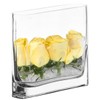 CYS EXCEL Glass Book Vase (H:6" Open:7"x2") Round Edge Oval
