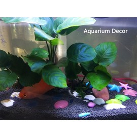 SpringSmart Aquarium Rocks, Can Glow in The Dark After Daily Exposure to Light, Cute Sea Item Shaped Decor Stones for Fish Bowl, Garden, Ponds, Handmade Crafts, Non-Toxic Colorful Fish Tank Substrate