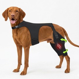 Marnonsis Dog Knee Braces for Back Leg,Support for Large Dogs,XL
