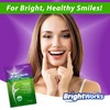 225 Piece BrightWorks Fresh Mint + Whitening Dental Flossers with