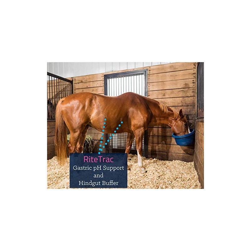 Kentucky Equine Research RiteTrac: Total Digestive Tract Support for Horses,
