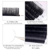 Aorbige Cashmere Lash Extensions C CC D DD L B