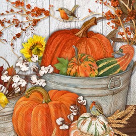 IHR Ideal Home Range Party Napkins Disposable 3-Ply Paper Lunch Napkin Pack, 6.5" x 6.5", It's Pumpkin Time, 20-Count