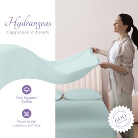 Carressa Linen 100% Egyptian Cotton Sheets - 600 Thread Count 4 PC Queen Size Sheet Set, Soft, Cooling, High Thread Count Sateen, Extra Long Staple Luxury Bedding, 16 in Deep Pocket - Seafoam Green