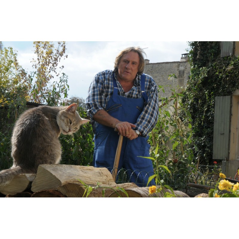 Das Labyrinth der Wörter