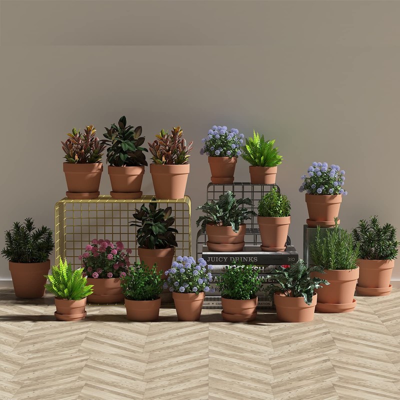 Fcacti 3.5 Inch Terracotta Shallow Succulent Pot - 12 Pack