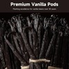 SPICEEL Madagascar Vanilla Beans Grade A Vanilla Pods for Making