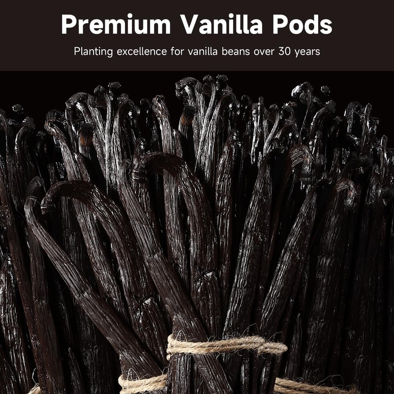 SPICEEL Madagascar Vanilla Beans Grade A Vanilla Pods for Making