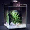 Fluval Chi II Set para Acuario, 5 galones